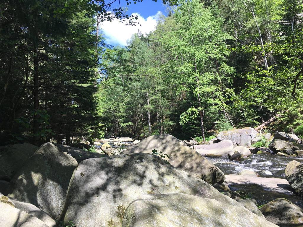 Apartmán s Výhledem na jezero Lipno nad Vltavou Exterior foto